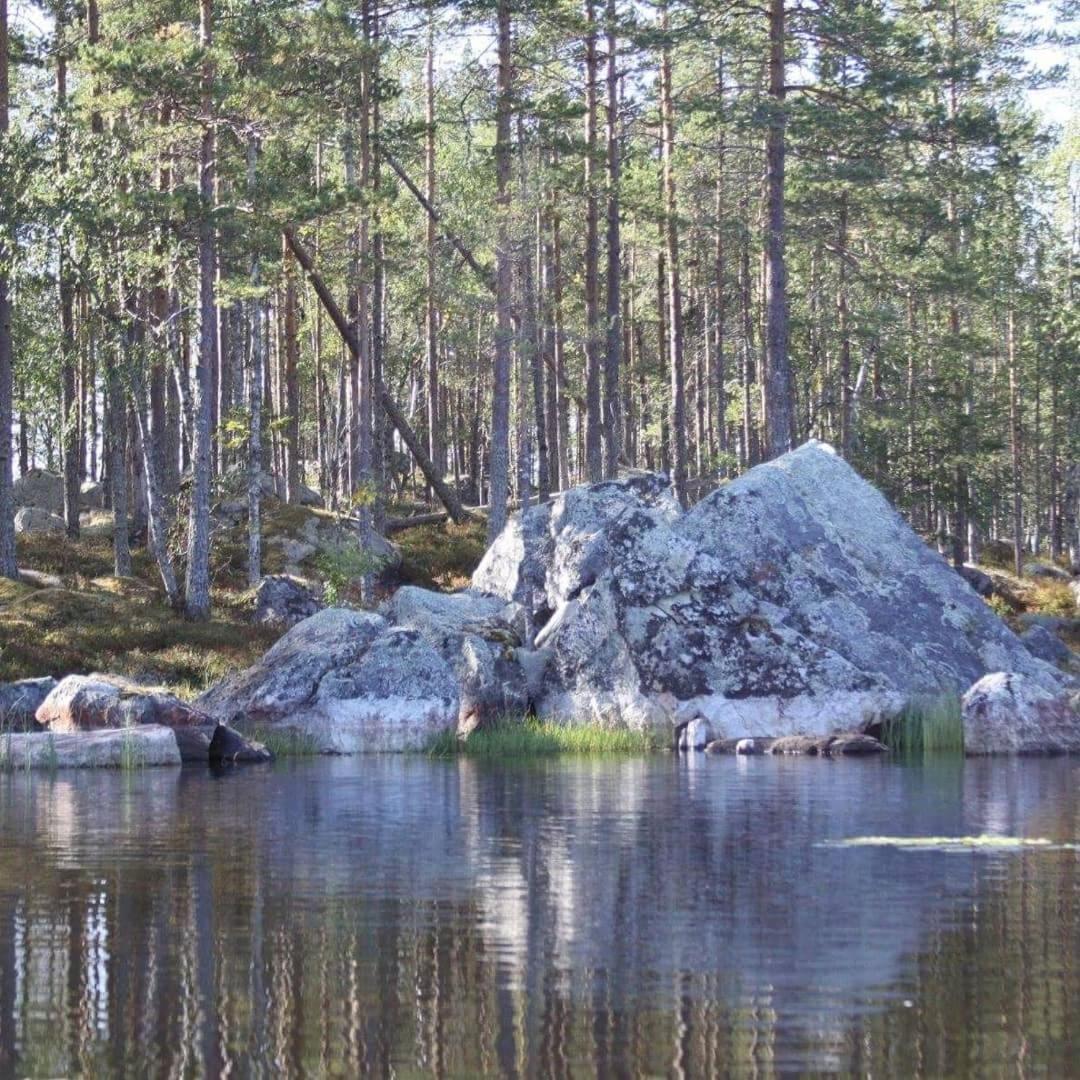 Hamra Stugby - Nature Adventures Hamra Exteriér fotografie